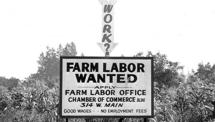 Help Wanted: Seeking a Solution to the Ag Labor Crisis