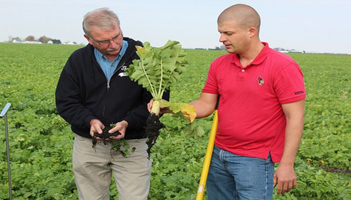 How to Find Farm Help for Your Ag Business