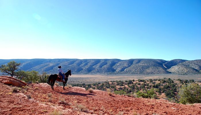 Utah Farm Bureau Launches Photo Contest!