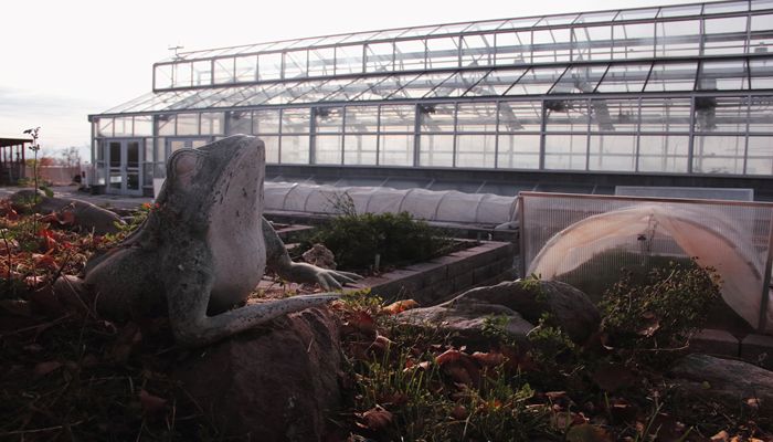 Farming in the City