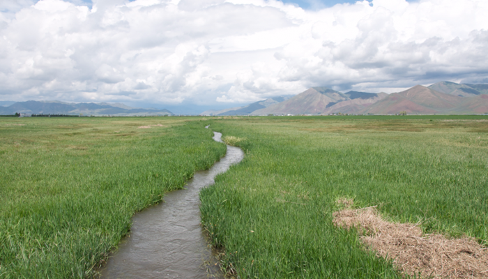 New WOTUS Rule Creates More Confusion for Farmers and Ranchers