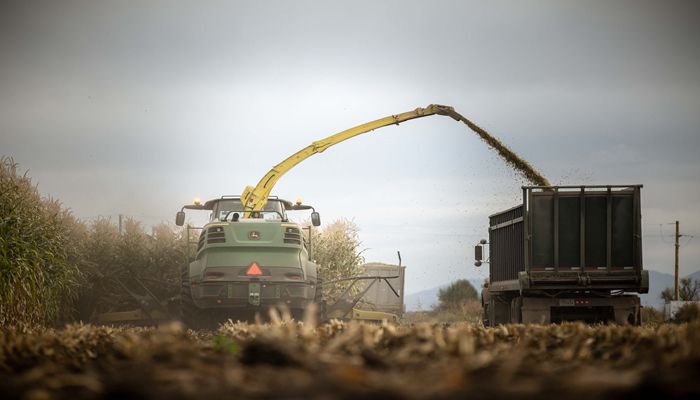 Understanding Types of Crop Insurance: Yield Insurance and Revenue Insurance
