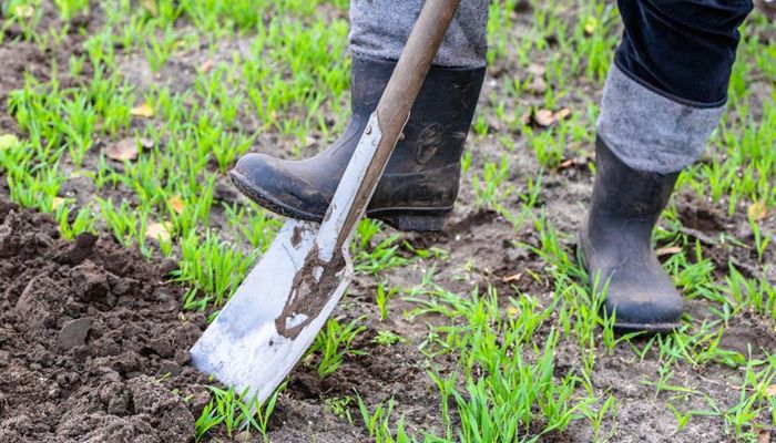 USU Extension Offers Tips on Getting a Jump on Spring Yardwork