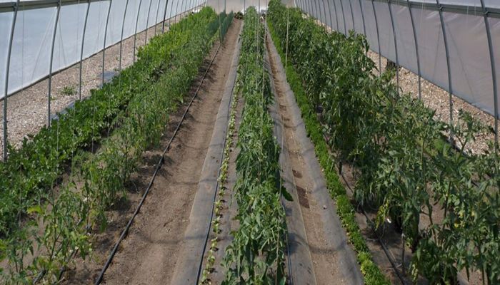 NRCS in Utah Accepting Applications for Conservation Funding Opportunities