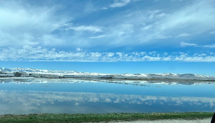 Farmers and Ranchers Throughout Utah Impacted by Flooding & Consequences of Long Winter
