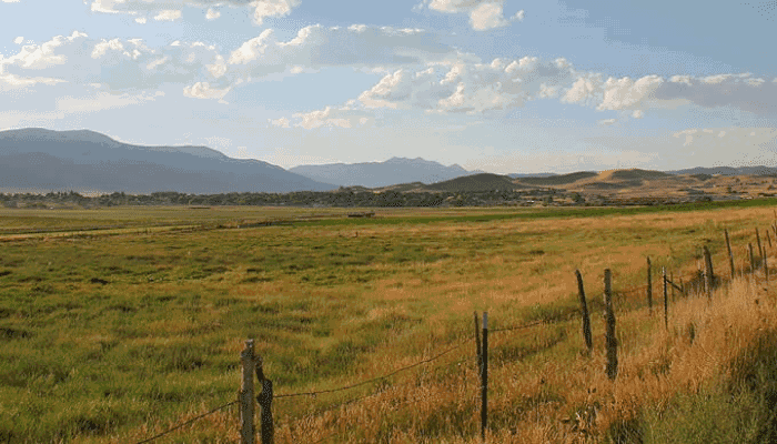 UDAF Announces LeRay McAllister Working Farm and Ranch Fund Grant Application Period