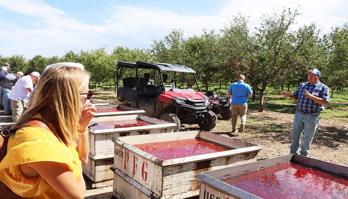 Utah Fruit Farmers Host Digital Influencers, Elected Officials for Harvest Tour