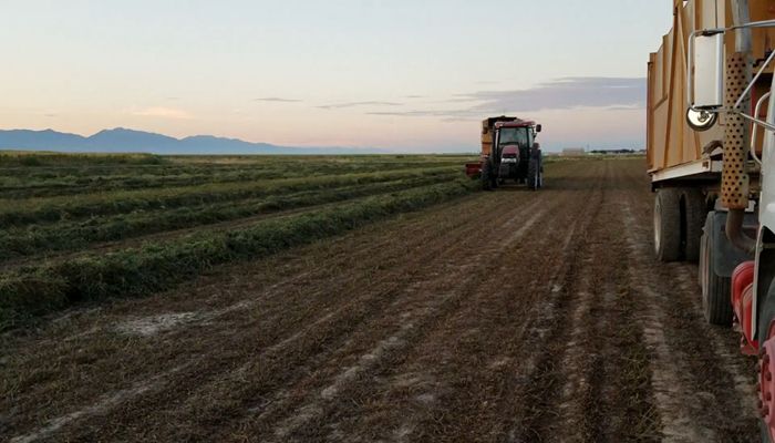 ExciteMINT at Utah's CL Marble Farms