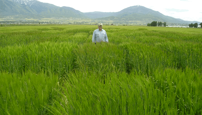Guiding Our Growth: The Future of Water in Utah