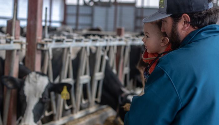 Dairy Farmers Struggle as Milk Prices Fall and Costs Climb