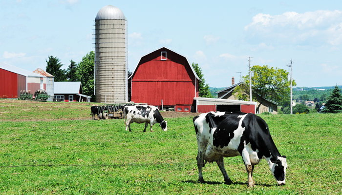 Increase in Ag Fatalities and Injuries Highlights Need for Training