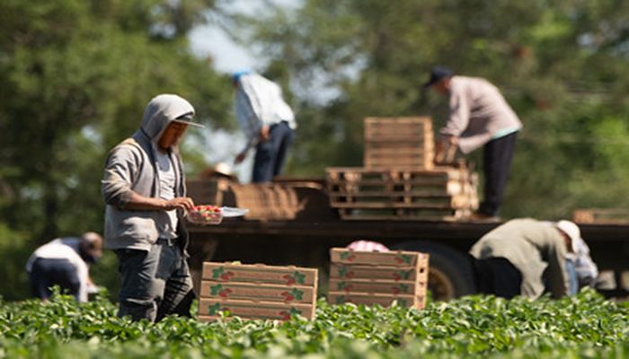 USDA Reaches out to Farmers & Ranchers with Ag Labor Survey this month