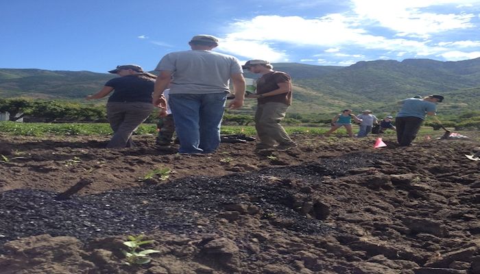 Out of the Ashes: Researchers Looking to Turn ‘Trash’ Into ‘Treasure’