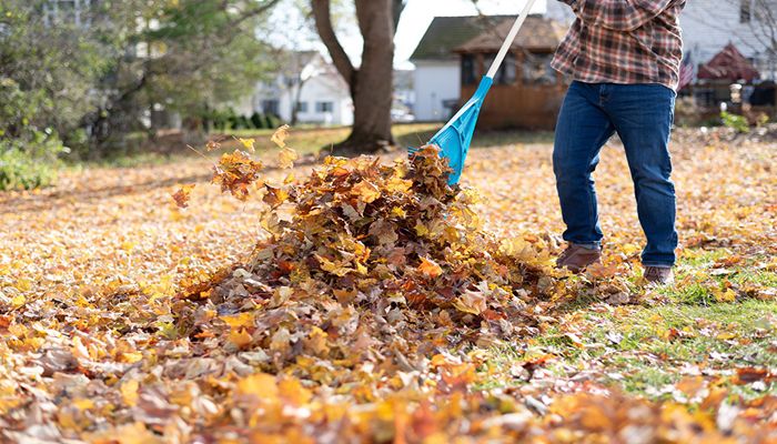 November Yard and Garden Tips from USU Extension