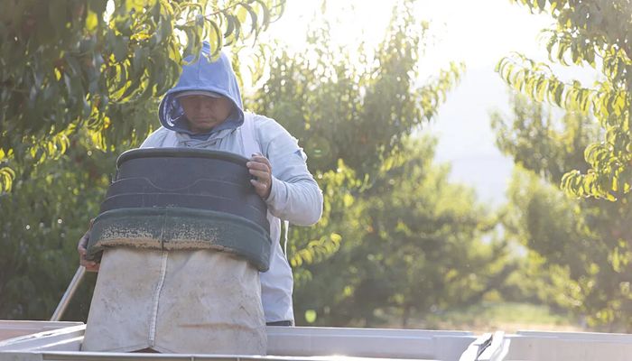 House Ag Committee Offers Solutions to Farm Labor Crisis