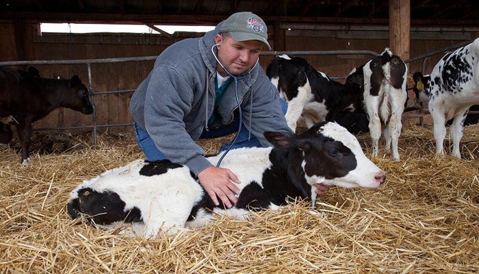 Health Condition in Dairy Cows in Texas Prompts Utah Farmers to Review Biosecurity Practices