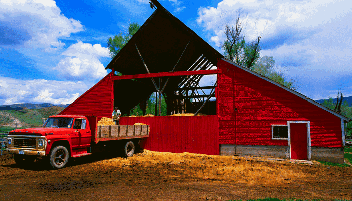 Wall Street Regulators Heard Farmers Loud and Clear