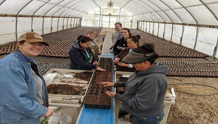 Celebrating the Spirit of Service During National Volunteer Week