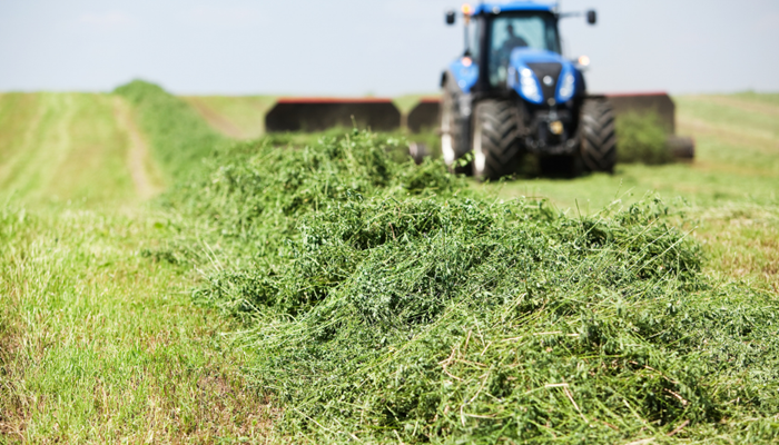 5 Signs You Need to Review Your Farm's Insurance Policy