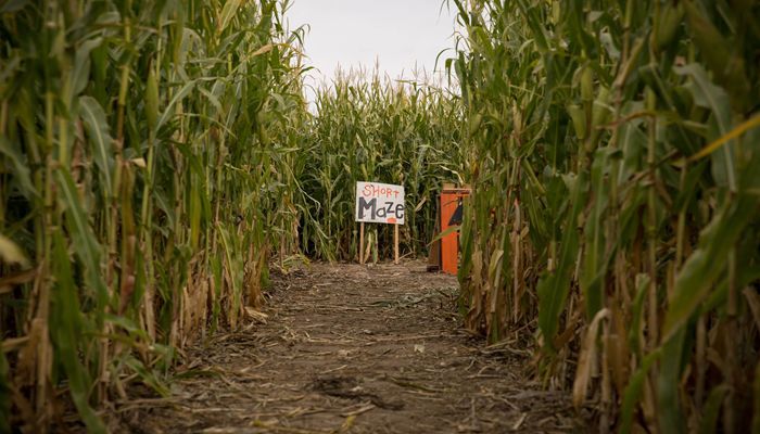 Utah Farm Bureau Helps Add Protections for Agritourism
