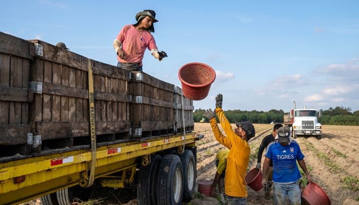 Farm Bureau Calling for Action on Labor Reform