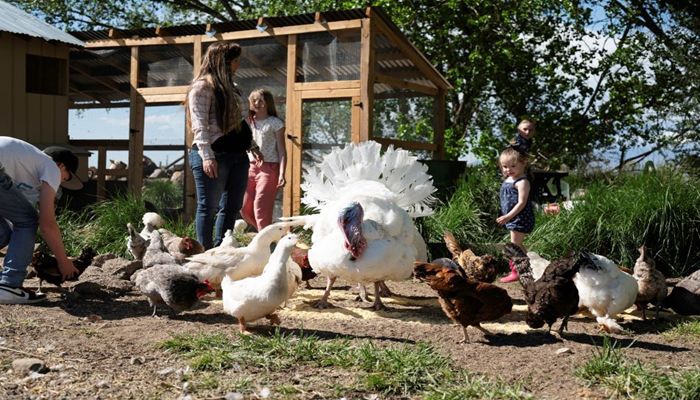 Cascade Farms in Provo