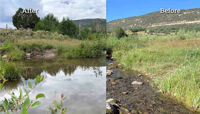 Conserving wild Bonneville cutthroat trout in the midst of cattle country