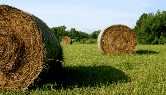 AFBF Appreciates USDA Reforms to Loan Process