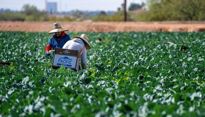 USDA to Gather Data About On-Farm Labor