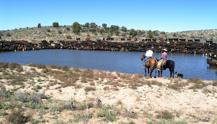 Utah Farm Bureau Water Academy Tackles Pressing Water Issues