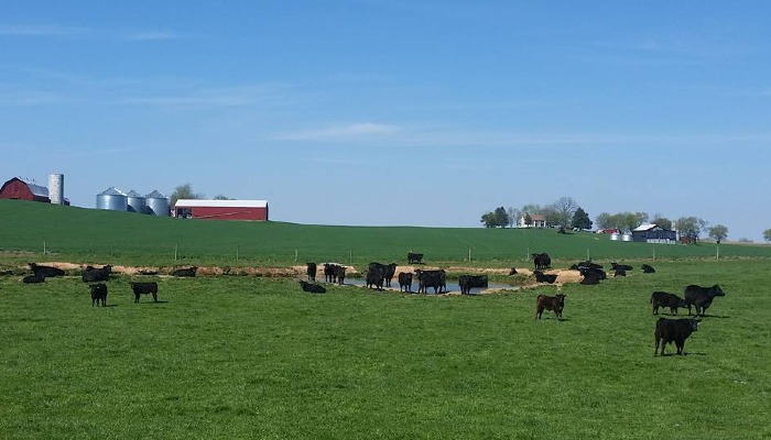 Farm Bureau Shares Sustainability Success Stories with EU Officials