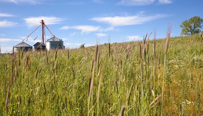 Farmers Should Note Upcoming Corporate Transparency Act Deadline