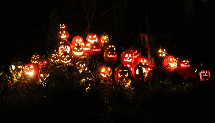 Halloween Starts on the Farm