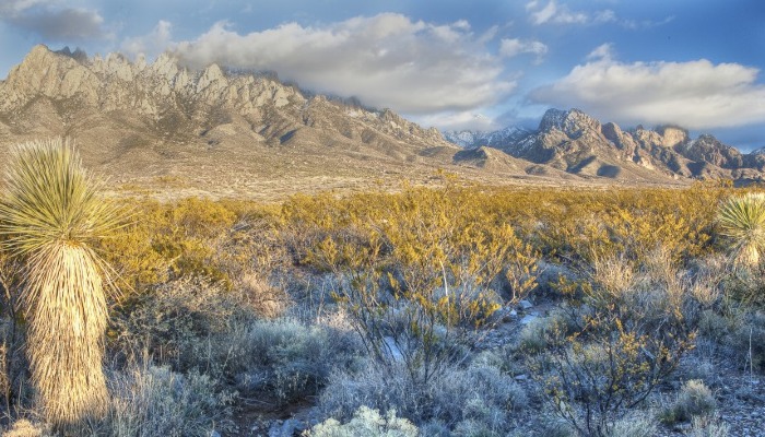 12 states get behind Utah’s lawsuit to take over millions of acres of federally-controlled land