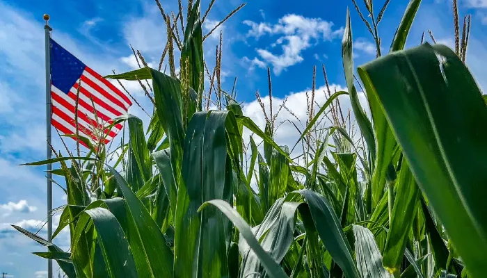 HuffPost: Farmers Are Like America's Insurance Policy — Consider That When You Vote
