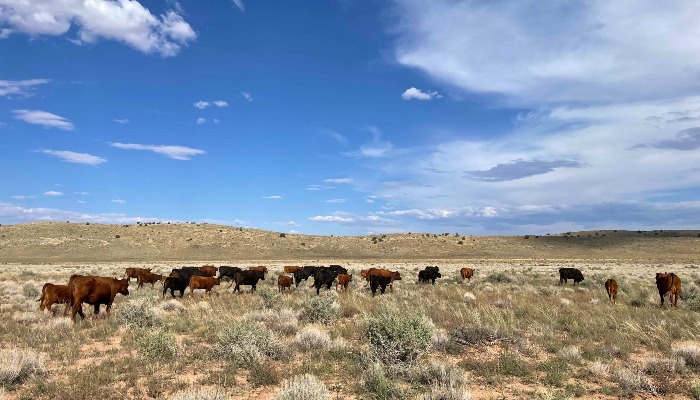 Utah and Arizona Farm Bureaus Nominate Chris Heaton for Monument Advisory Committee