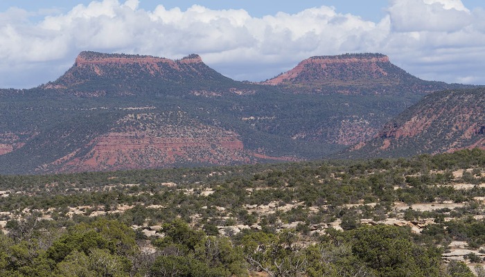 Utah Farm Bureau Protests Bears Ears National Monument Management Plan