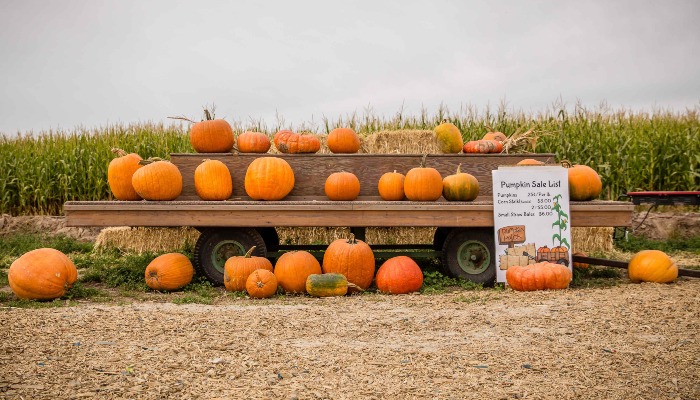 Holiday Season Presents Opportunities to Shop Local Farms