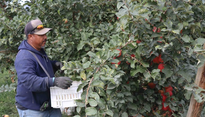 Overreaching Department of Labor Rule Halted Nationwide