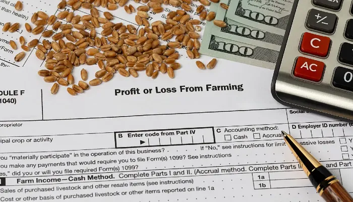Tax Policy Could Change in 2025