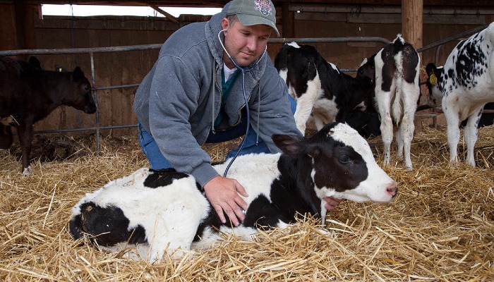 UDAF Appoints New State Veterinarian