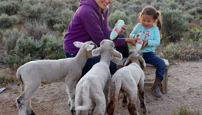 Women in Agriculture: Empowering the Next Generation of Ag Leaders