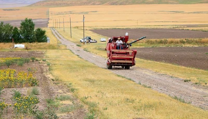 Utah Producer Survey: Organic Interest Assessment