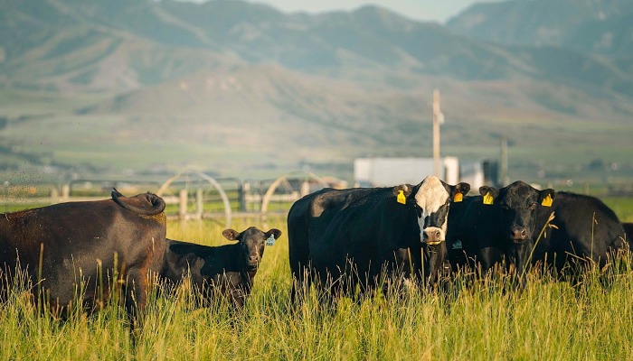 How Utah’s Farmers are Securing Our Future