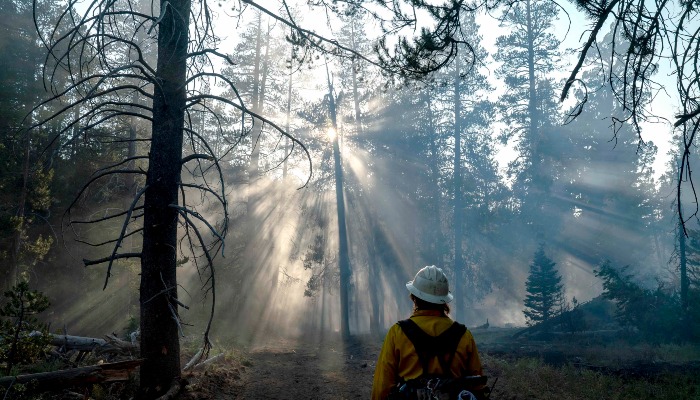 Utah Gov. Cox signs executive order for wildfire preparedness