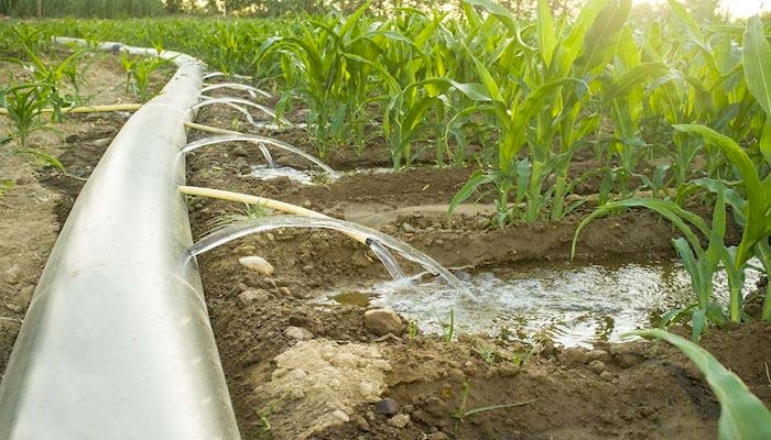 Agriculture's Role in Water Conservation
