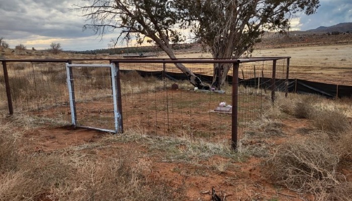 Utah Cemetery Program Looking for Volunteers to Help Preserve Rural Historic Cemeteries