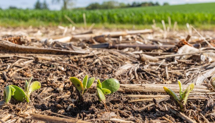 What is Regenerative Agriculture?