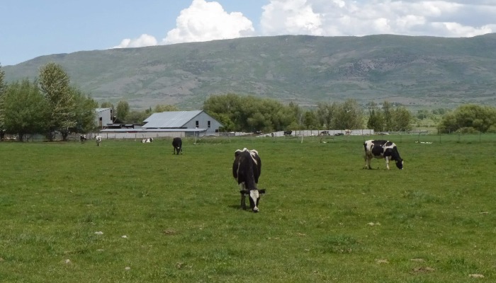 Healthy Farms Are Grounded in Sound Science