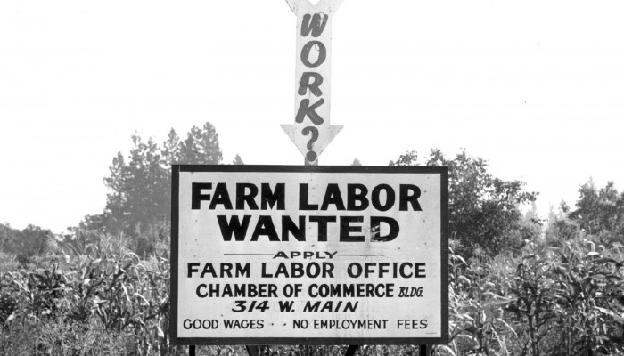 Continued Increase in Labor Costs on the Horizon